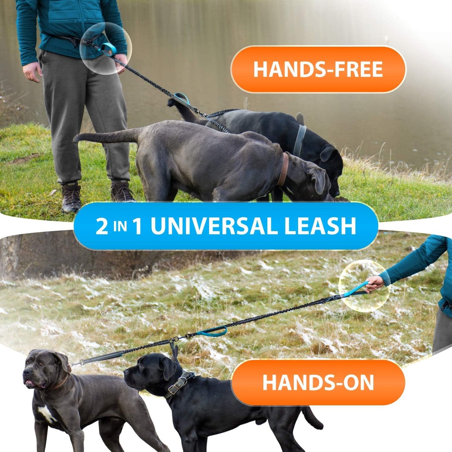 Hands-Free Double Dog Leash for Medium and Large Breeds - Dual Leash with Padded Handles, Reflective Stitching, No Pull, and Tangle-Free Design