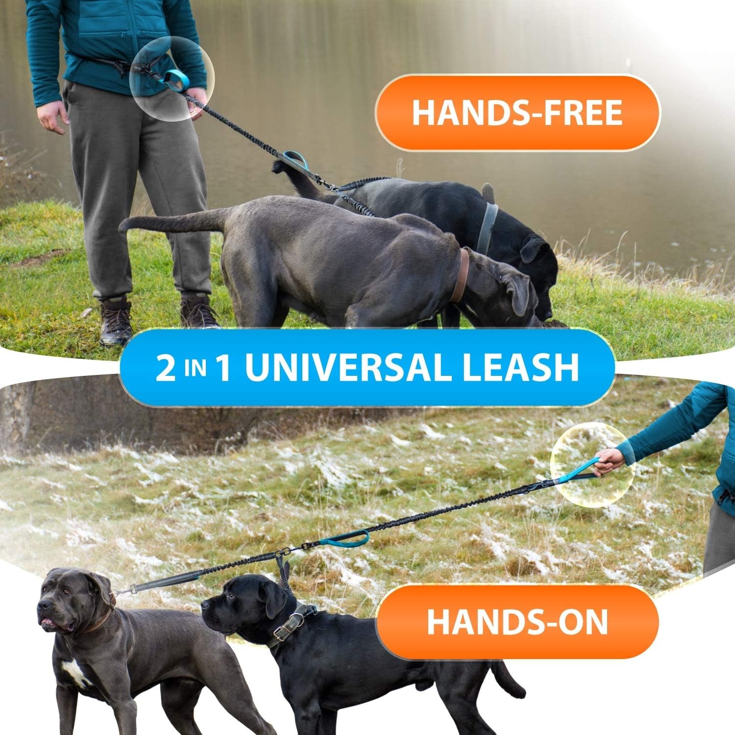 Hands-Free Double Dog Leash for Medium and Large Breeds - Dual Leash with Padded Handles, Reflective Stitching, No Pull, and Tangle-Free Design