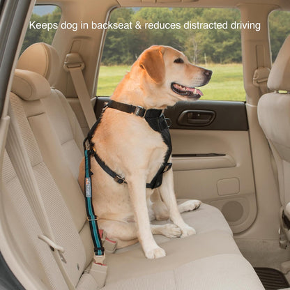 Coastal Blue Direct to Seatbelt Dog Tether | Adjustable Car Safety Harness, Prevents Distracted Driving, Universal Fit (Excludes Volvo)